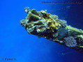 foto de buceo
