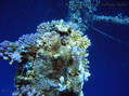 foto de buceo