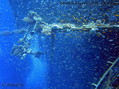 foto de buceo