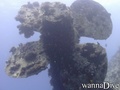 foto de buceo