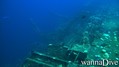 foto de buceo