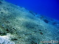 foto de buceo