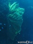 foto de buceo