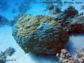 foto de buceo