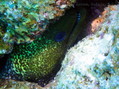 foto de buceo