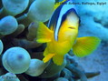 foto de buceo