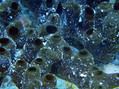 foto de buceo