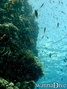foto de buceo