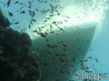 foto de buceo