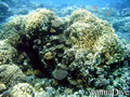foto de buceo