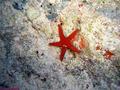 foto de buceo