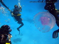 foto de buceo
