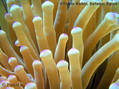 foto de buceo