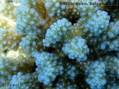 foto de buceo