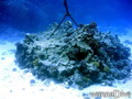 foto de buceo