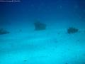 foto de buceo