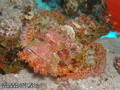 foto de buceo