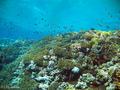 foto de buceo