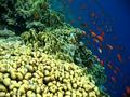 foto de buceo