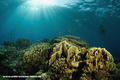foto de buceo