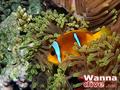 foto de buceo