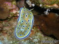 foto de buceo
