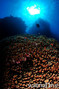 foto de buceo