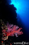 foto de buceo