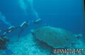 foto de buceo