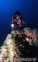 foto de buceo