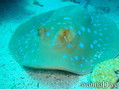 foto de buceo