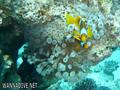 foto de buceo