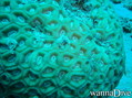 foto de buceo