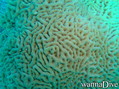 foto de buceo