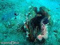 foto de buceo