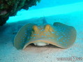 foto de buceo
