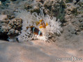 foto de buceo