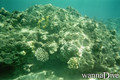 foto de buceo