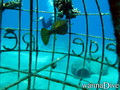 foto de buceo