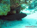 foto de buceo