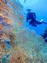foto de buceo