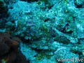foto de buceo