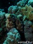 foto de buceo