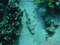 foto de buceo