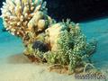 foto de buceo