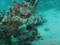 foto de buceo