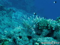 foto de buceo