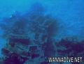 foto de buceo