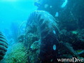 foto de buceo
