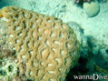 foto de buceo